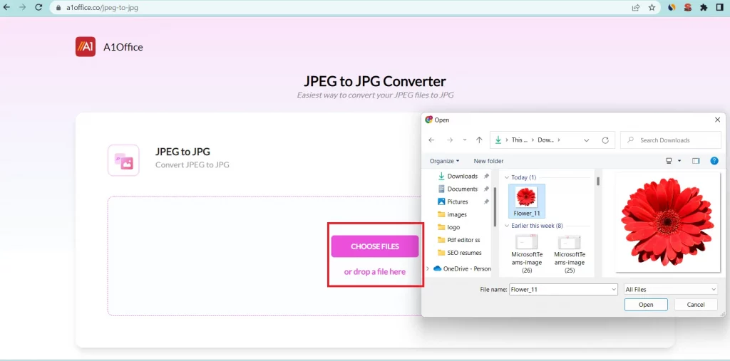 Upload jpeg file in JPEG to JPG converter 